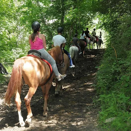 Camping Llavorsi * Llavorsi