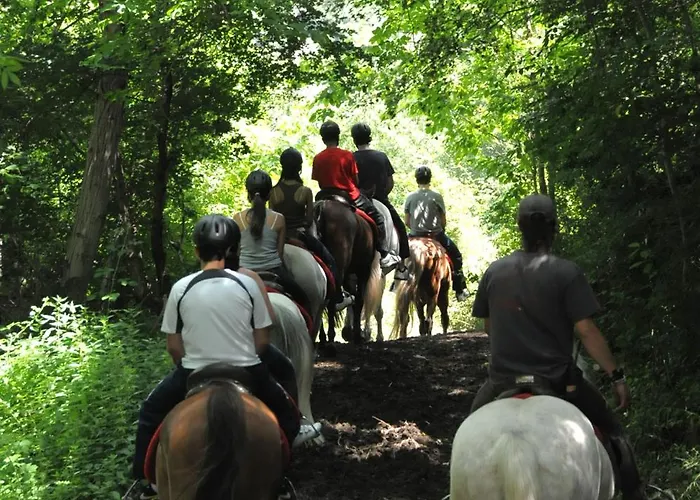 Camping Llavorsi Llavorsí
