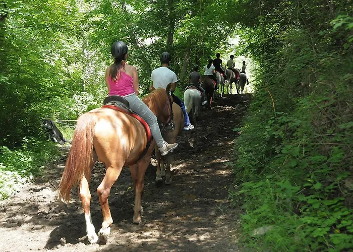 Camping Llavorsi * Llavorsí