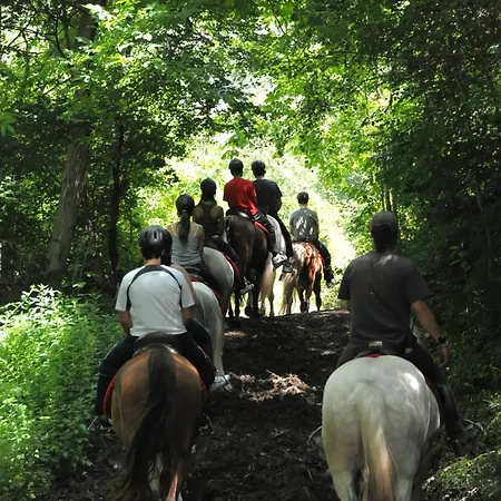 Camping Llavorsi Llavorsí