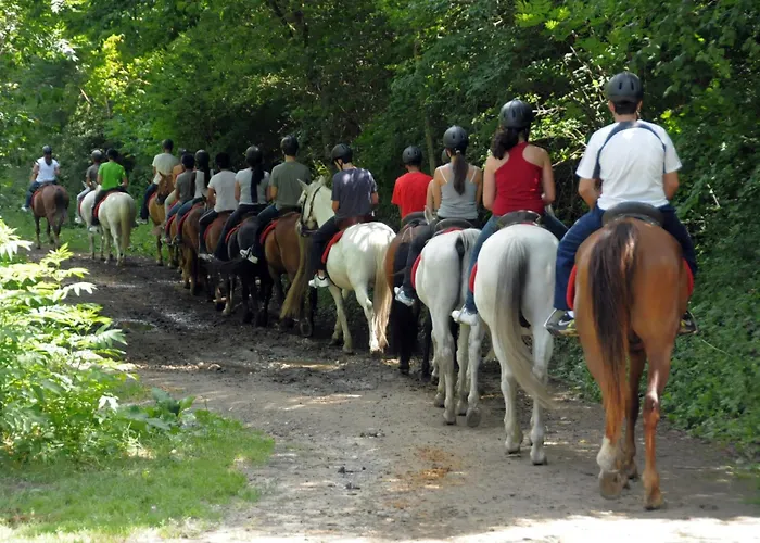 Camping Llavorsi Camping *